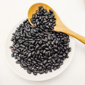 Haricots de lentilles noires biologique de qualité supérieure, lentilles noires d'urad dal à vendre - Product Image 2