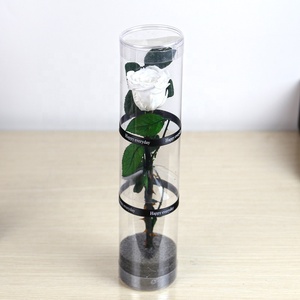 Caja de Regalo Decorativa con Flores Reales al por Mayor, Adorno para el Día de San Valentín o el Día de la Madre, Cilindro de PVC de 4-5 cm con Tallo de Rosa Preservada Individual - Product Image 5