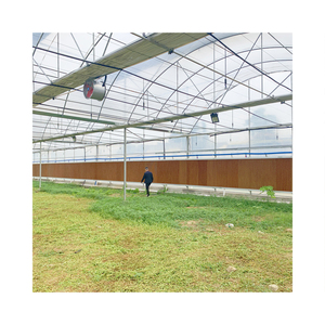 <span class=keywords><strong>Serre</strong></span> en <span class=keywords><strong>verre</strong></span> de type Venlo Skyplant, grande <span class=keywords><strong>serre</strong></span> agricole en <span class=keywords><strong>verre</strong></span>, utilisée pour la reproduction de semences/l'exposition/le restaurant éco-responsable - Product Image 6