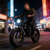 Vélo de montagne électrique EB20-A05 20 pouces, série Adventure, cadre en fer, 7 vitesses, moteur sans balais 1500W, batterie au lithium, double suspension