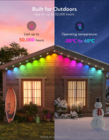 Lumières LED RGB de Noël extérieures étanches IP67, contrôle intelligent par application, points lumineux à pixels pour aménagement paysager - Maison de vacances permanente