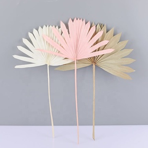 Feuilles de <span class=keywords><strong>palmier</strong></span> séchées naturelles, feuilles de <span class=keywords><strong>palmier</strong></span> en éventail séchées, 10 tiges de pampas et de <span class=keywords><strong>palmier</strong></span> séchés naturels pour la décoration bohème - Product Image 5