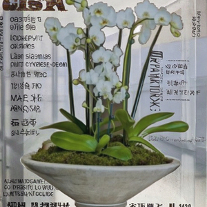 Pot de fleurs enduit de poudre d'orchidées en soie blanches artificielles européennes pour la maison Table centres de table élégants décoration de sol - Product Image 4