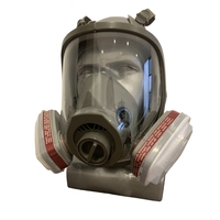 Masque respiratoire gris industriel 4007 avec filtre CBRN pour oxygène, produits chimiques, gaz tactiques, poussière, gaz nucléaires et gaz lacrymogènes, certifié CE