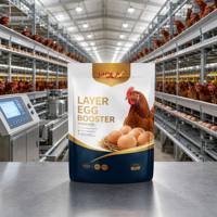 Prémélange pour volailles de qualité export en vrac pour augmenter la production d'œufs et le taux de fécondation – Approvisionnement direct usine