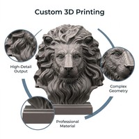 Servicio de Impresión 3D OEM, Figura de Anime Personalizada, Prototipo de Resina PLA