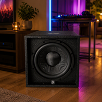 Système audio subwoofer haute résolution ODM/OEM, enceintes actives professionnelles de 8 pouces, système de sonorisation en ligne