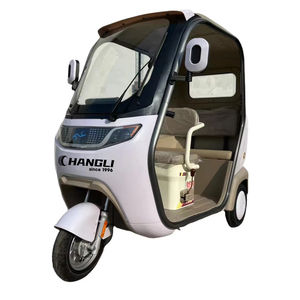 Vélo tricycle cargo électrique CHANGLI avec moteur de moyeu arrière et batterie au lithium 60V passagers transportant <span class=keywords><strong>deux</strong></span> <span class=keywords><strong>personnes</strong></span> - Product Image 1