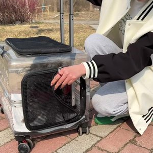 Yüksek kalite lüks naylon kedi sırt çantası çekme çubuk şeffaf arabası arabası evcil hayvan taşıyıcı seyahat Pet bavul kabarcık Wrap tekerlek - Product Image 5