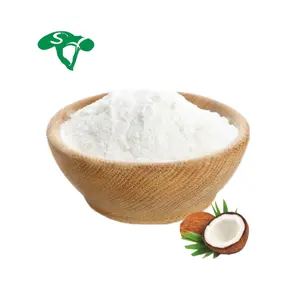 Vente en gros d'extrait de poudre de noix de coco biologique naturelle de qualité garantie séchée de haute qualité