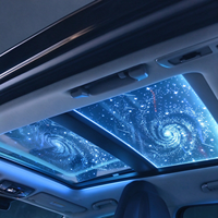 Projecteur LED de plafond étoilé pour toit ouvrant de voiture, avec contrôle vocal par application, synchronisation musicale, effet étoiles scintillantes et météores, 12V, installation non destructive