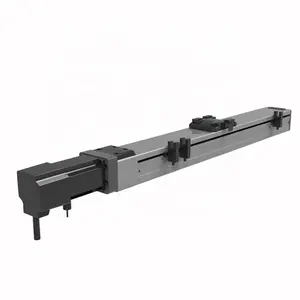 RYK Dust-proof Sliding Table Linear Guide Module Manufactrurers Direct Ball Screw Drive Liner Actuator With Servo Motor