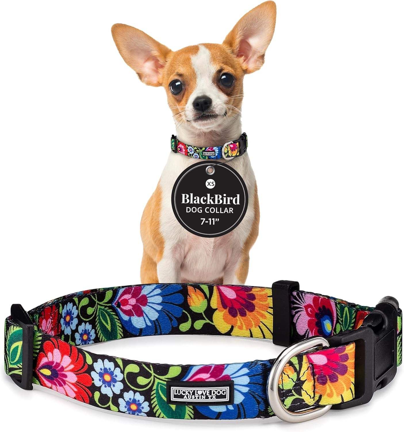 Blackbird Collar Only