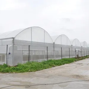 Greenhouse Good Quality And Easily Installed Agricultural/Commercial Green House Greenhouse