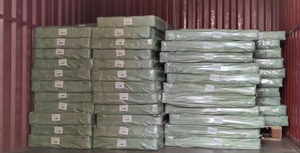 <span class=keywords><strong>Tappetini</strong></span> Auto Impermeabili in Gomma TPE su Misura per <span class=keywords><strong>Ford</strong></span> <span class=keywords><strong>EcoSport</strong></span> e Territory 2003-2011 con Tappetino Bagagliaio Profondo - Product Image 6