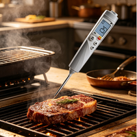 Stock Wholesale Testo106 Food Temperature Meter IP67 Compact Accurate LCD Digital Thermometer