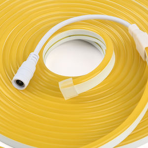 12v 24v 2835 8*16尺寸纯硅胶霓虹灯条双面镀铜28/35μ<span class=keywords><strong>m</strong></span>铜110灯珠/米霓虹柔性灯 - Product Image 6