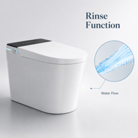WC intelligent moderne monobloc avec bidet électrique, couvercle automatique, lavage à l'eau chaude, séchage à l'air et chasse d'eau par capteur