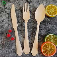 Cuillères à glace jetables en bois écologiques et élégantes EVERYDAY – Couverts compostables pour fêtes et petits gâteaux