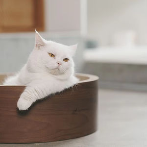 سرير عش خشبي رائع للقطط طراز كلاسيكي أنيق دائري مستلزمات حيوانات أليفة داخلية قابلة للطي للقطط للراحة واللعب - Product Image 3