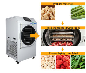 Liofilizador Automático <span class=keywords><strong>de</strong></span> Alta Eficiencia HFD-<span class=keywords><strong>9</strong></span> <span class=keywords><strong>de</strong></span> 15 <span class=keywords><strong>kg</strong></span> para Alimentos, Plantas y Más - Ideal para el Hogar, Liofilizador <span class=keywords><strong>de</strong></span> Bajo Consumo <span class=keywords><strong>de</strong></span> 105W - Product Image 6