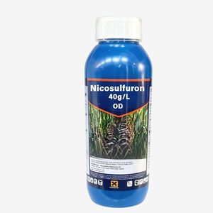 Nicosulfuron 40g/L OD Sulfonylurea Herbicide Systémique Sélectif pour le Contrôle des Adventices Annuelles et Perpétuelles dans les Cultures et le Maïs Sucré - Product Image 1