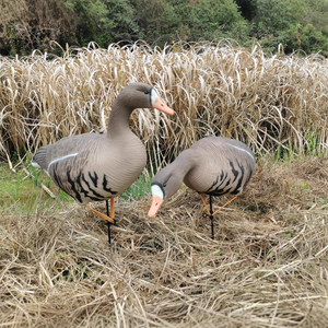 Esca Promozionale per la Caccia - Esca per Oche - Esca Morbida per la Caccia Selvatica con Motivo a Punti Grigio Oca - Product Image 1