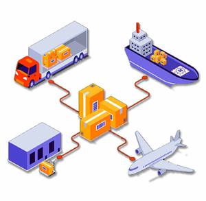 מותאם אישית 28 יום garcinia cambogia simming קפסולות שומן טבעי צמחים באבקה טופס אבקה ארוז בבקבוק - Product Image 6