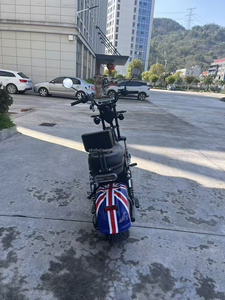 สกู๊ตเตอร์ไฟฟ้า Citycoco รุ่น Citycoco 2000w แฮนด์บาร์ 69 ซม. สำหรับตลาดบราซิล - Product Image 5