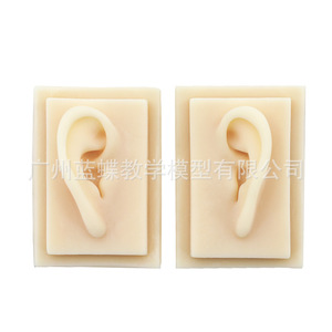 Oído realista a escala 1:1, modelo de oído humano, tipo de trompa de oído, oído de silicona para acupuntura (oreja derecha) - Product Image 2