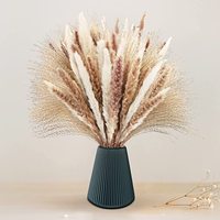 Herbe de la Pampa Touffue de Style Bohème, Eucalyptus et Roseaux Nains Naturels Séchés pour Décoration de Mariage, Maison et Noël