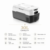 Réfrigérateur-congélateur portable pour voiture 30L -20°C ℃   Réfrigérateur à double usage DC12V 24V AC avec LED USB pour le camping, les camping-cars, les camions et l'extérieur