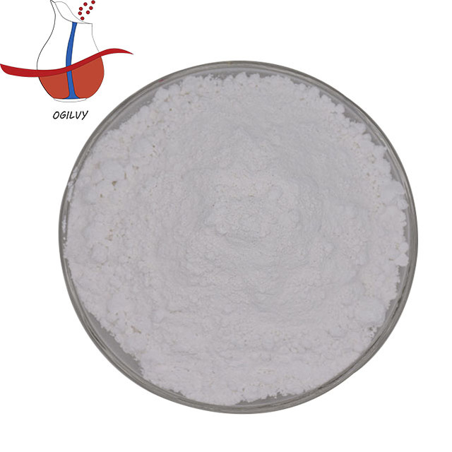 Titanium Dioxide Photocatalyst White Powder Industrial Grade Free Sample of Pigment for Coating Made in China Tio2 1KG 13463-677