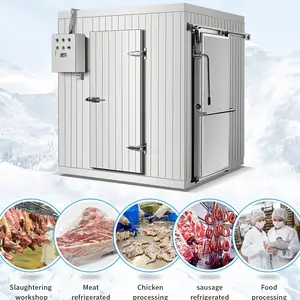 Meat Cold Room freezer container Cold Storage for Chicken With PU Sandwich Panel