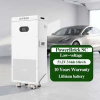 بطارية Dyness PowerBrick SC 51.2 فولت 314 أمبير ساعة 16.076 كيلوواط ساعة من نوع LiFePO4 مع نظام حماية من الحرائق 5s وضمان لمدة 10 سنوات للاستخدام المنزلي في أنظمة تخزين الطاقة (ESS)