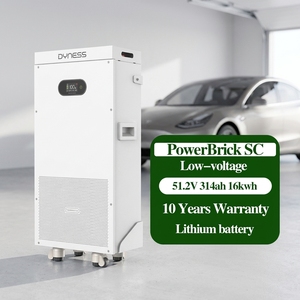 Batterie LiFePO4 Dyness PowerBrick SC 51.2V 314Ah 16.076kWh avec protection incendie 5s et garantie 10 ans pour système de stockage d'énergie domestique - Product Image 1