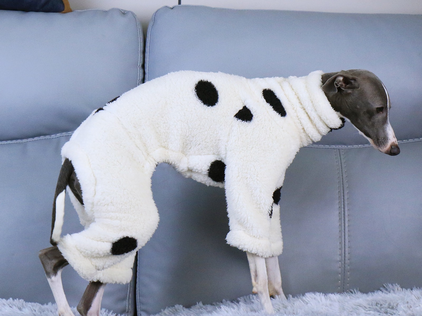 vaca blanca
