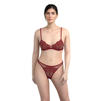 Lingerie sexy pour femmes, brodée, grande taille, en dentelle, avec soutien-gorge et culotte, en Spandex/Nylon, personnalisée en usine, vente en gros, collection 2026