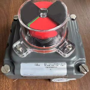 Interruptor de Límite Eléctrico Auténtico TXP-L2CGNPM/EM - Product Image 1