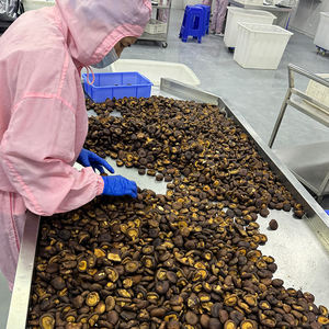 Оптовая продажа, китайские Хрустящие вакуумные жареные ломтики Грибов шиитаке, низкие жирные здоровые закуски для общественного питания и оптовая продажа - Product Image 5