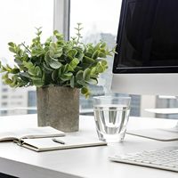 Petit artificiel Eucalyptus herbe verdure en pot faux pour la maison étagère Table basse salle de bain ferme décor pour Pâques