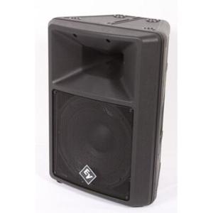 ENTREGA A DOMICILIO 12__ Altavoz Subwoofer Pasivo de 2 Vías y 200 W Sx100+ en Metal Negro - Product Image 2