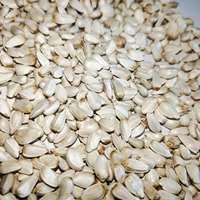 GRAINES DE CAROTTE EN VENTE EN GROS pour l'ALIMENTATION ANIMALE