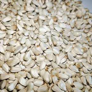 بذور العصفر بالجملة لتغذية الحيوانات - Product Image 5