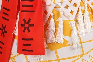 HEYLI Set Vestito e Gonna in Poliestere da Principessa Moana per Bambine <span class=keywords><strong>con</strong></span> Cintura e Collana, per Halloween, Carnevale e Cosplay - Product Image 5