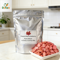 Très demandé : Fruits lyophilisés sans sucre, Frites de fraises lyophilisées, Fruits secs pour boissons et pâtisseries