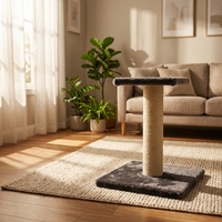 Griffoir simple pour chat en corde de sisal naturelle, avec perchoir en peluche douce, base stable, gain de place, mobilier d'intérieur pour chatons