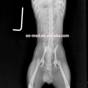 Equipo Veterinario, Máquina de Rayos X Digital Móvil, Sistema de Rayos X Quirúrgico Veterinario con Brazo en C VXM1120 - Product Image 6