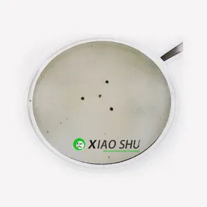 Xiaoshu tùy chỉnh Vòng nhôm nitride gốm Tấm sưởi cho sản xuất chip bán dẫn