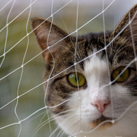 Filet en maille pour chat renforcé de fil d'acier avec bords renforcés pour une installation facile sur balcon ou fenêtre